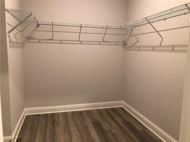 7323 Hawkins Mnr N, Mobile, AL 36695 - walk in closet with wood finished floors