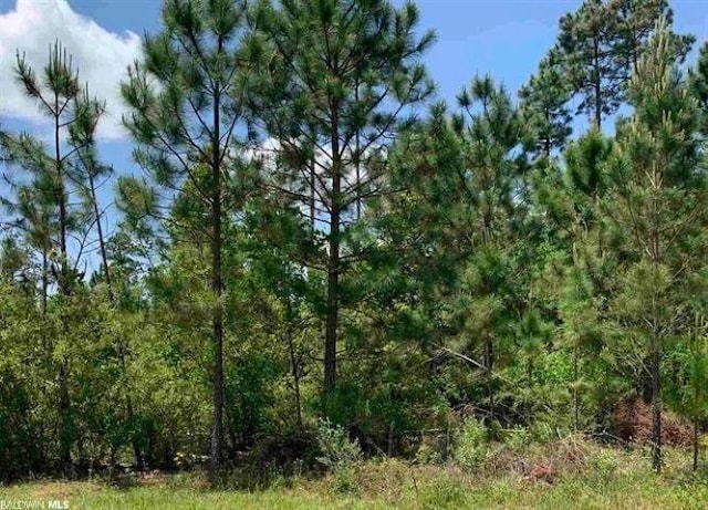 0 Weatherly Cv, Spanish Fort AL, 36527 land for sale
