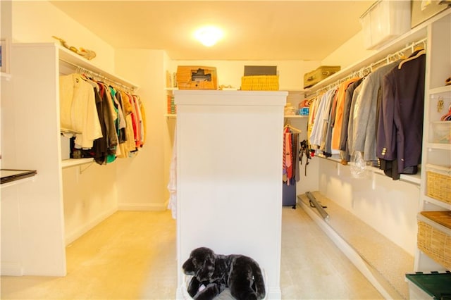 walk in closet with light colored carpet