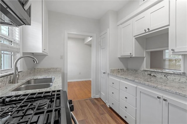 kitchen with sink, white cabinetry, light hardwood / wood-style floors, and light stone counters