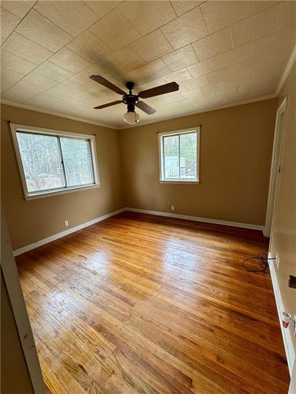 spare room with crown molding, ceiling fan, and light wood-type flooring