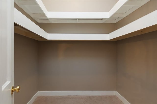 spacious closet with carpet flooring