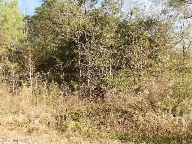 0 Carlyle Dr, Theodore AL, 36582 land for sale