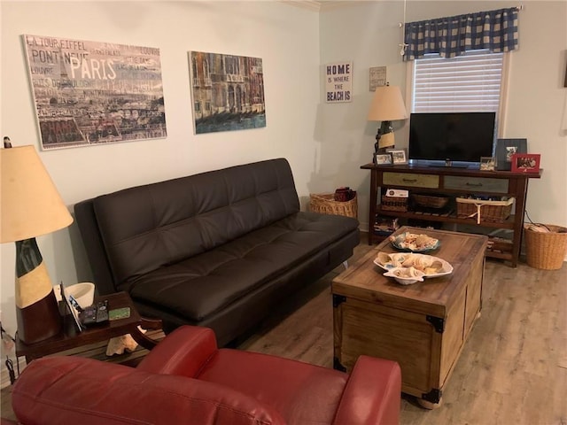 living area featuring wood finished floors