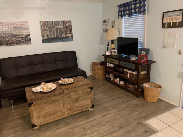 living room with wood-type flooring