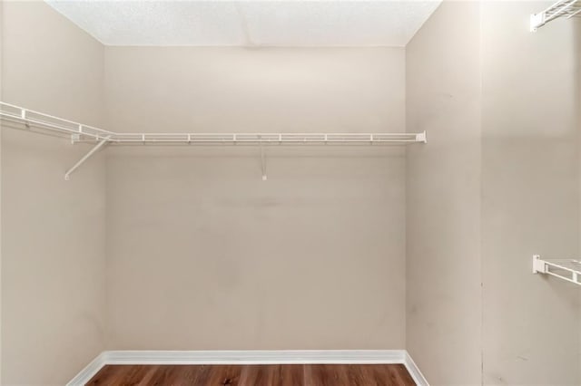 walk in closet with wood-type flooring