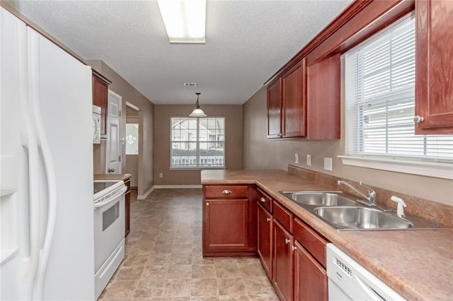 kitchen featuring white appliances, plenty of natural light, decorative light fixtures, and sink