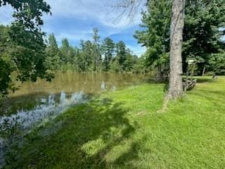 view of nature with a water view