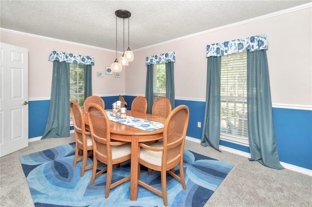 carpeted dining space featuring plenty of natural light, a textured ceiling, and ornamental molding