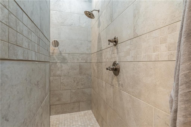 room details with tiled shower