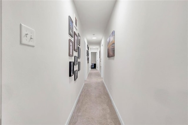 1933 Wildwood Pl, Mobile, AL 36609 - hall with baseboards and light carpet