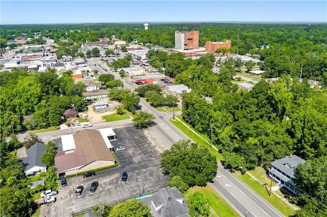 drone / aerial view