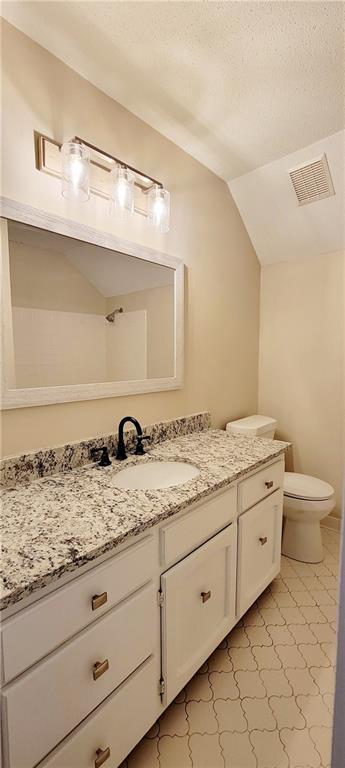 bathroom featuring vanity, toilet, and vaulted ceiling