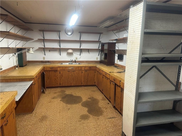 kitchen with light colored carpet and sink