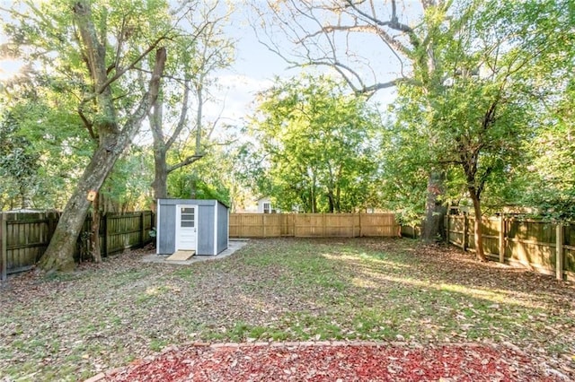 view of yard with a storage shed