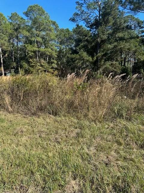 12325 Dauphin Island Pkwy, Coden AL, 36523 land for sale