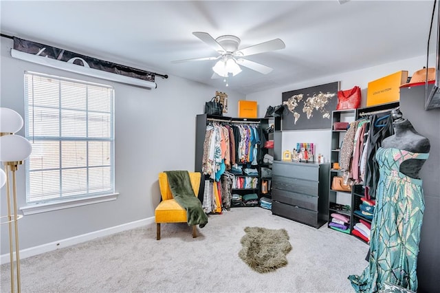 spacious closet featuring carpet flooring and ceiling fan