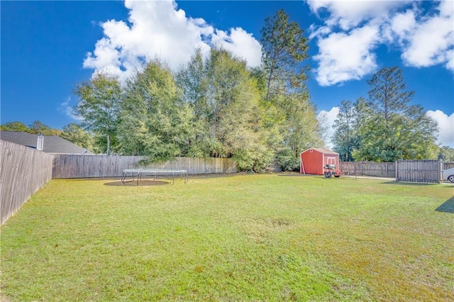 view of yard featuring a storage shed and a trampoline