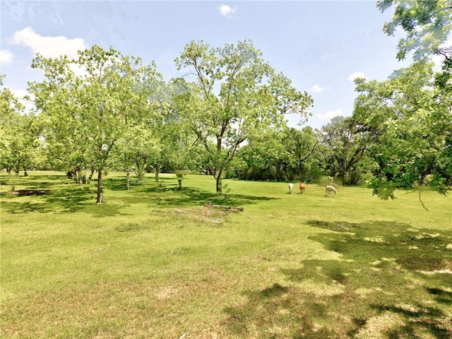 view of green lawn featuring view of scattered trees