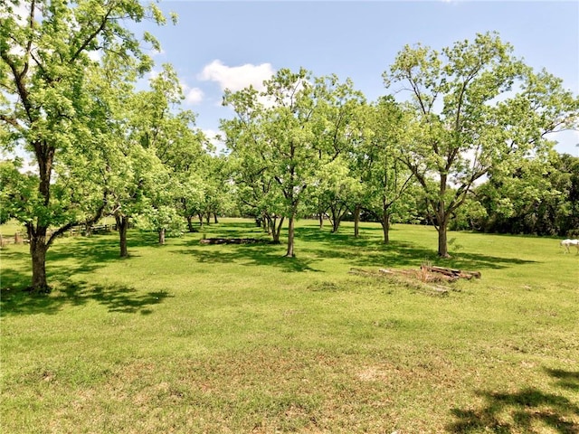 view of green lawn