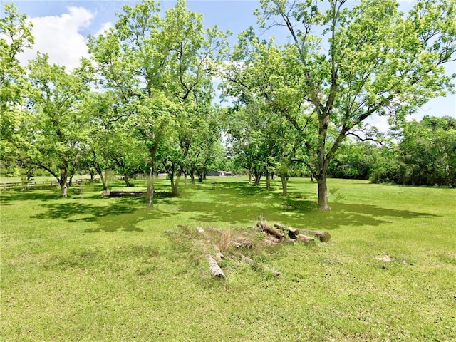 view of grassy yard