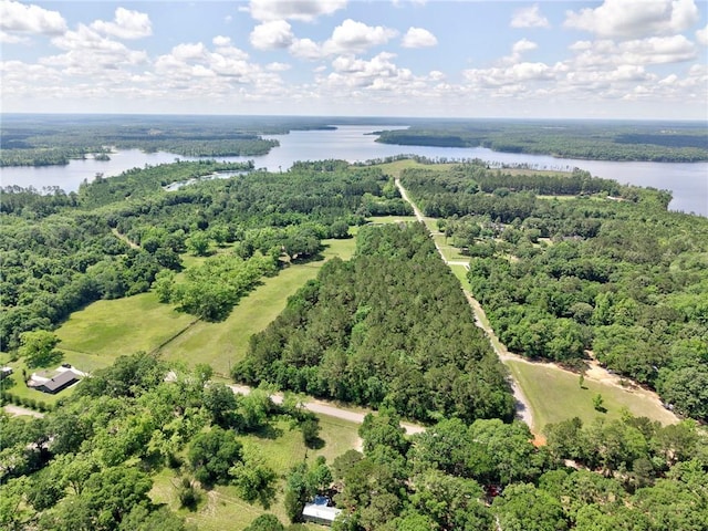 aerial view of a large body of water and a forest