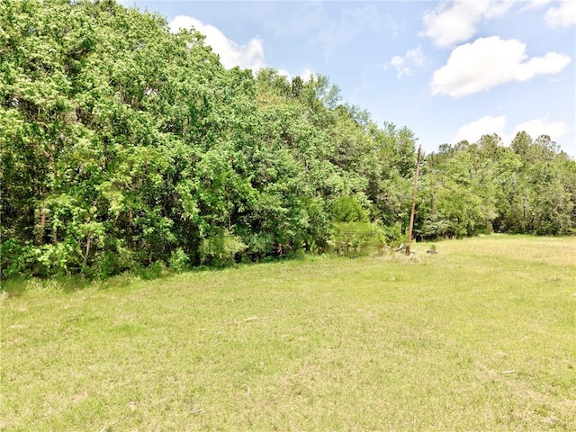 view of grassy yard