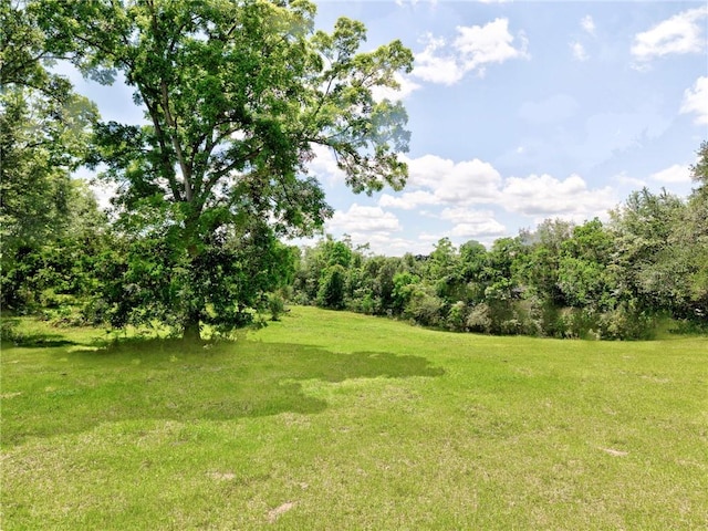view of green lawn