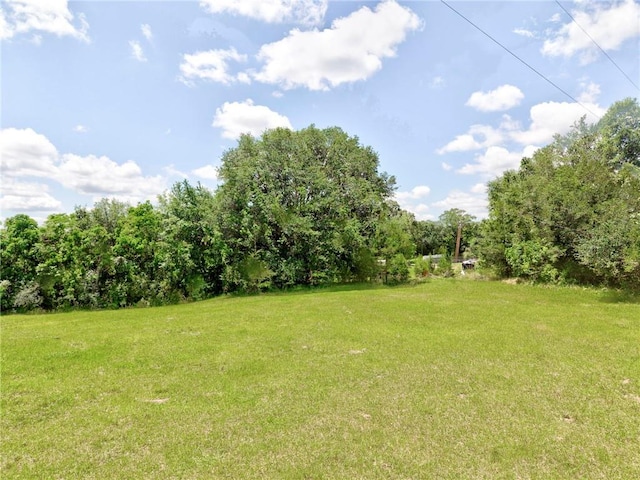 view of grassy yard