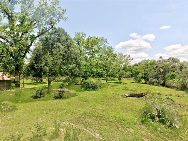 view of green lawn