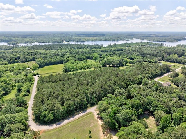 bird's eye view of a large body of water and a heavily wooded area