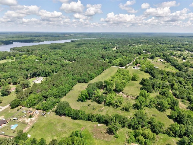 bird's eye view of a forest