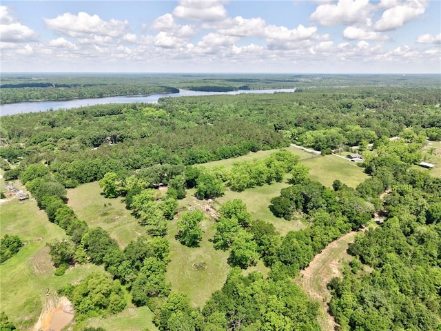 bird's eye view of a large body of water and a heavily wooded area