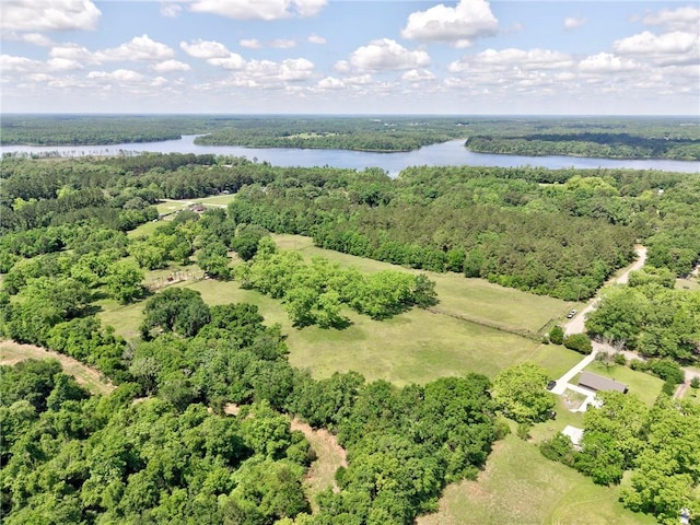 bird's eye view of a nearby body of water and a forest