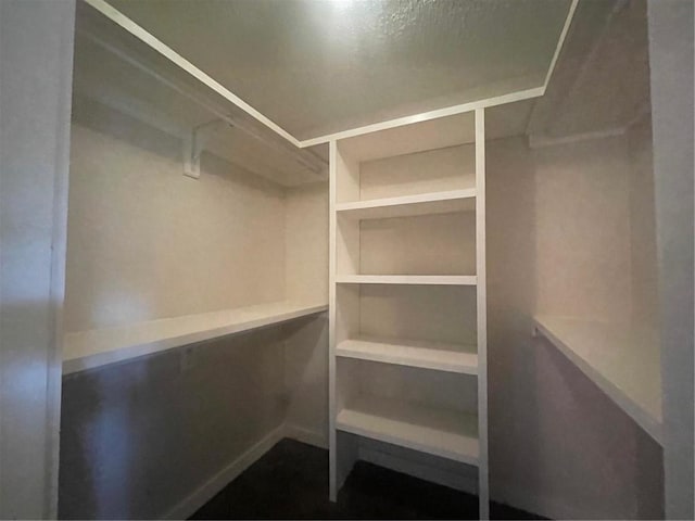 2901 Grant St Unit 2703, Mobile, AL 36606 - view of walk in closet