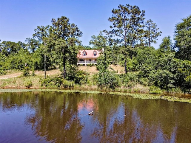 17180 Jim Platt Rd, Citronelle, AL 36522 - water view