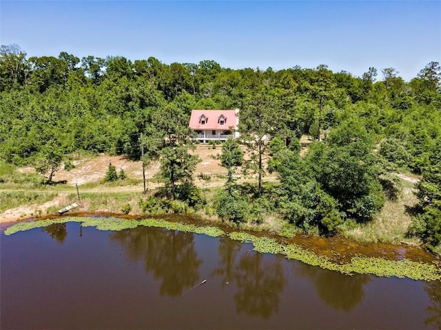 17180 Jim Platt Rd, Citronelle, AL 36522 - view of subject property with a large body of water