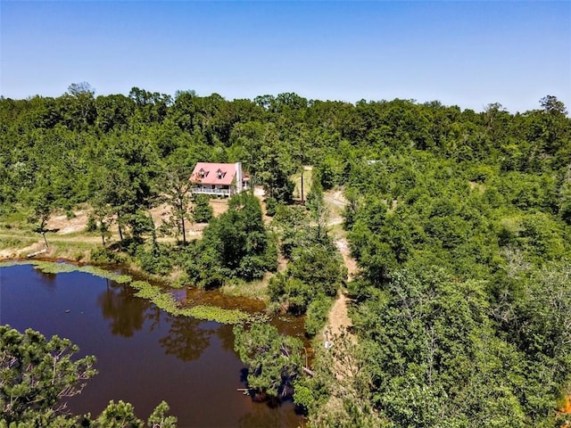 17180 Jim Platt Rd, Citronelle, AL 36522 - view of subject property featuring a large body of water and a heavily wooded area