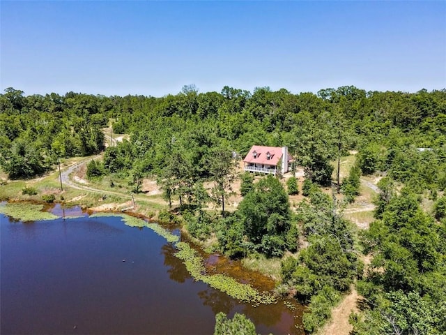 17180 Jim Platt Rd, Citronelle, AL 36522 - view of subject property featuring a nearby body of water and a heavily wooded area