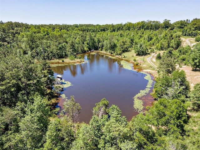 17180 Jim Platt Rd, Citronelle, AL 36522 - bird's eye view of a heavily wooded area and a nearby body of water