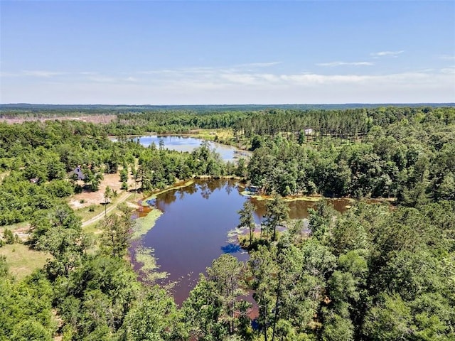 17180 Jim Platt Rd, Citronelle, AL 36522 - drone / aerial view of a heavily wooded area and a nearby body of water