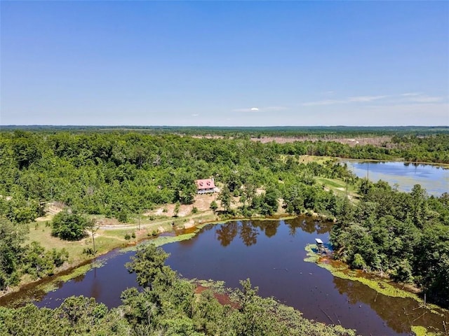 17180 Jim Platt Rd, Citronelle, AL 36522 - bird's eye view of a forest and a large body of water