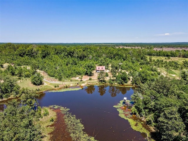 17180 Jim Platt Rd, Citronelle, AL 36522 - drone / aerial view of a heavily wooded area and a large body of water