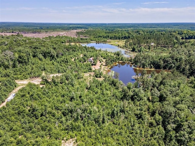 17180 Jim Platt Rd, Citronelle, AL 36522 - aerial view of a heavily wooded area and a large body of water