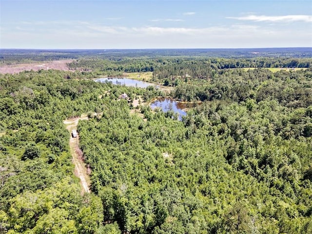 17180 Jim Platt Rd, Citronelle, AL 36522 - drone / aerial view of a forest and a nearby body of water
