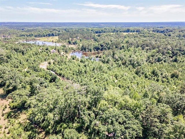 17180 Jim Platt Rd, Citronelle, AL 36522 - bird's eye view of a forest and a large body of water
