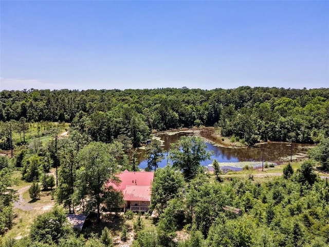 17180 Jim Platt Rd, Citronelle, AL 36522 - view of subject property featuring a forest and a large body of water