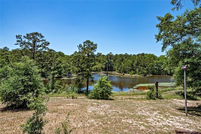 17180 Jim Platt Rd, Citronelle, AL 36522 - water view with a heavily wooded area