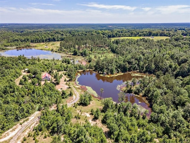 17180 Jim Platt Rd, Citronelle, AL 36522 - aerial view of a heavily wooded area and a nearby body of water
