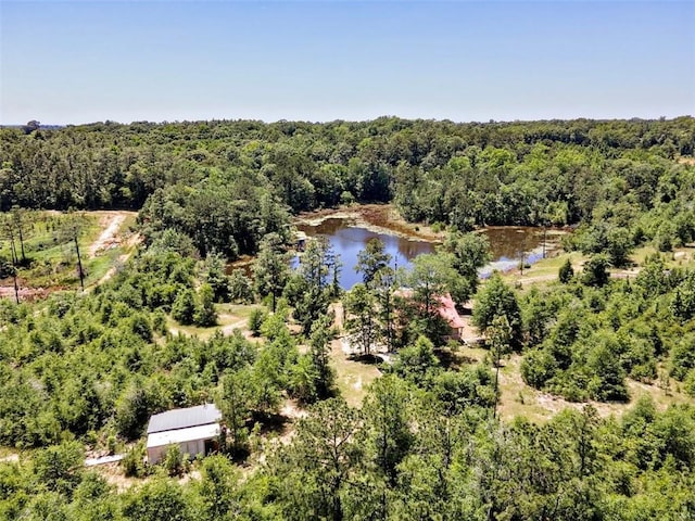 17180 Jim Platt Rd, Citronelle, AL 36522 - drone / aerial view of a forest and a nearby body of water